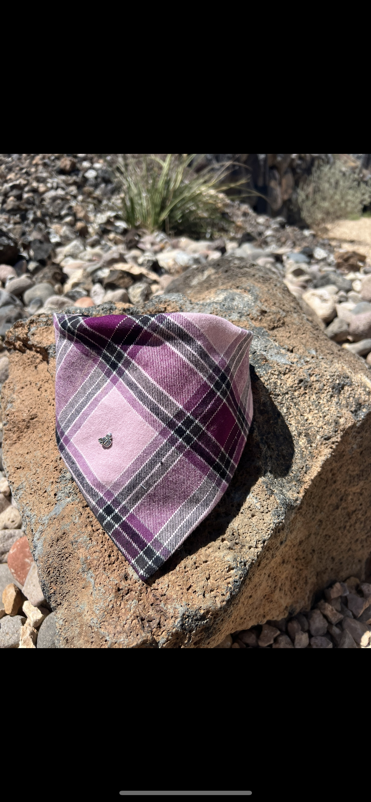 Eddie Bauer fall flannel