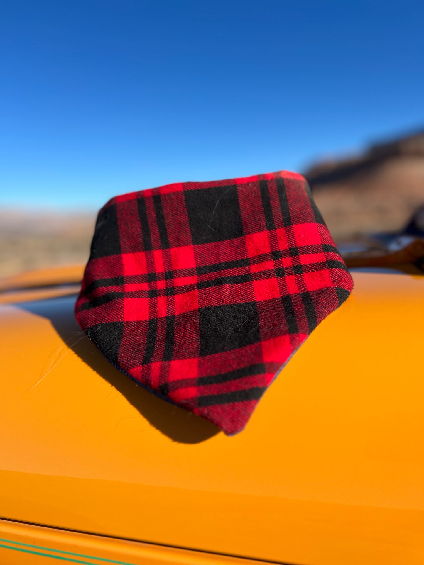 Red and black buffalo plaid flannel