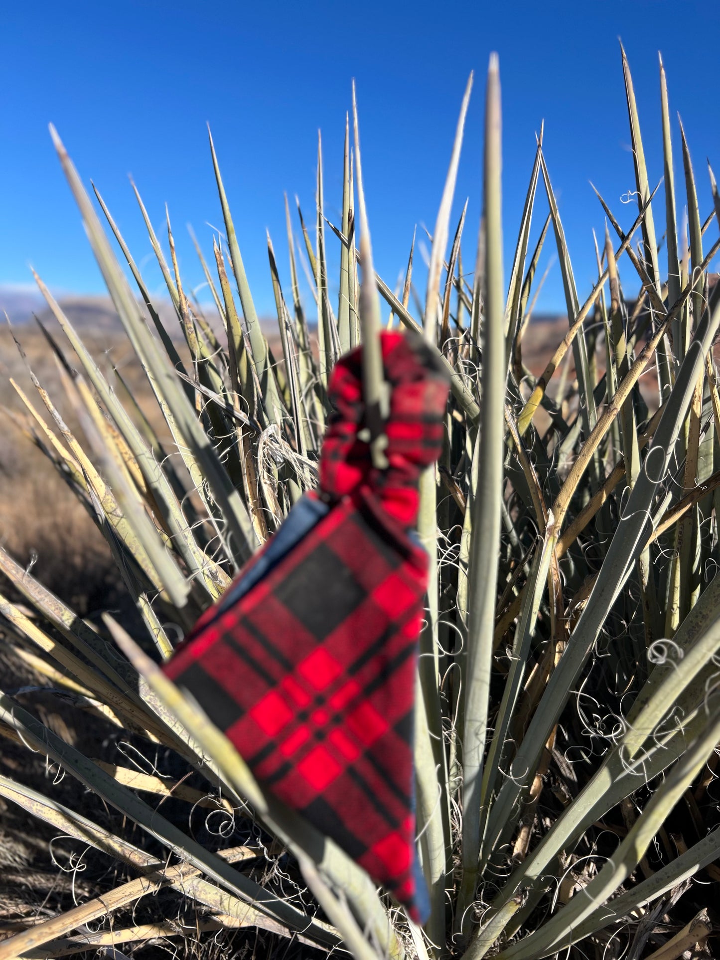 Red and black buffalo plaid flannel